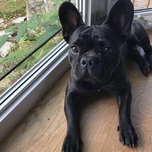 Meet your Posher, Mia